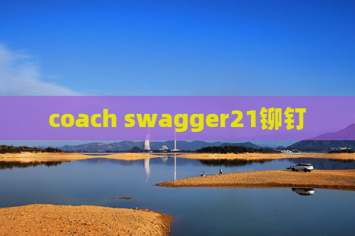 coach swagger21铆钉